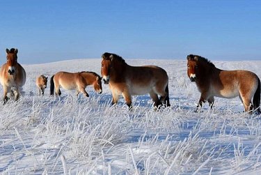 К природе – с заботой и вниманием